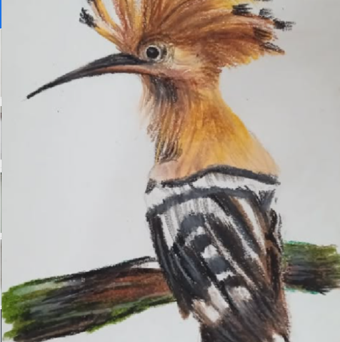 The Majestic Visitor – A Vibrant Bird Illustration