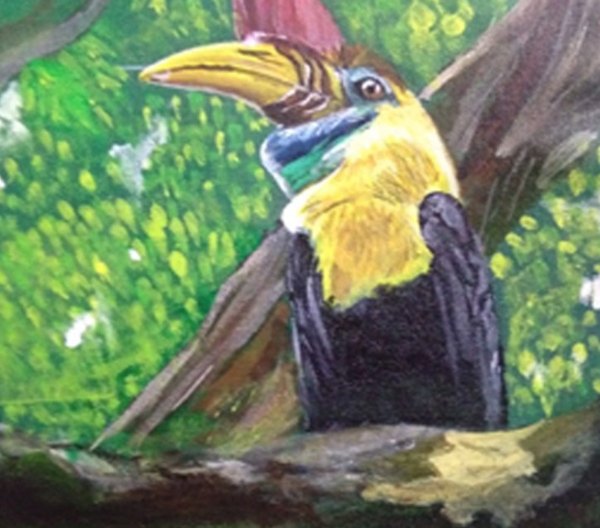 Great Hornbill