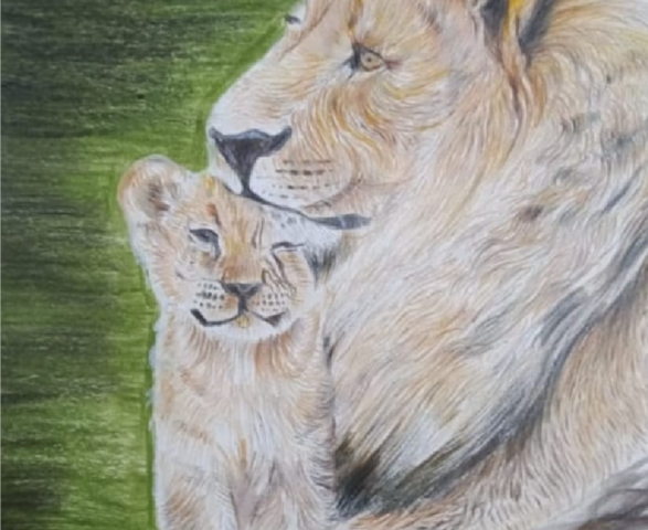 A King’s Tenderness – Lion and Cub Bond